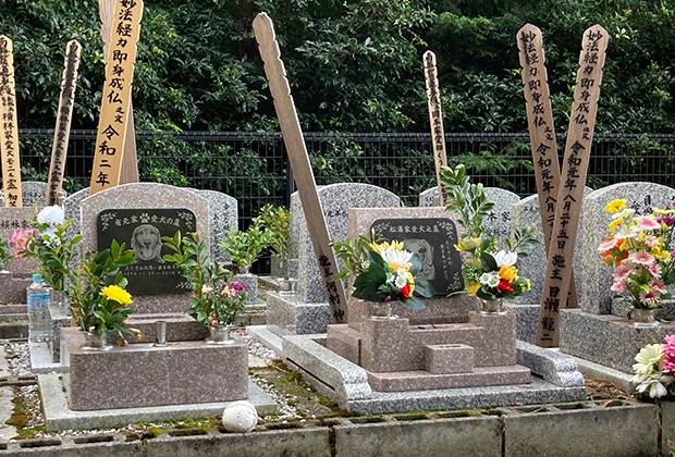 ペット霊園